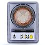 United States 1 dollar Silver Eagle Walking Liberty MS67 PCGS silver coin 1991