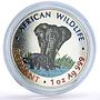 Zambia 5000 kwacha African Wildlife Elephant Fauna colored silver coin 1999