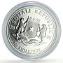 Somalia 100 shillings African Wildlife Elephant Fauna Gilt silver coin 2008