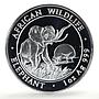 Somalia 100 shillings African Wildlife Elephant Fauna proof silver coin 2009