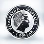 Australia 1 dollar Year of the Dog Lunar Series I 1 Oz Silver Gilded Coin 2006