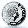 Australia 1 dollar Year of the Dog Lunar Series I 1 Oz Silver Coin 2006