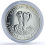 Zambia 5000 kwacha Elephant KM-73 African Wildlife Fauna silver coin 1999
