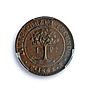 Honduras 1 peso Provisional Coinage Tree KM-24 AU58 PCGS copper coin 1862