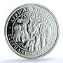 Somalia 50 shillings Elephant KM-206 Wildlife PR 70 PCGS silver coin 2008