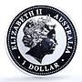 Australia 1 dollar Year Pig Gilt KM-1883 Lunar Series 1 silver coin 2007