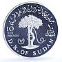 Sudan 10 pounds International Year Disabled Persons KM-88 proof silver coin 1981