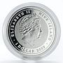 Niue 1 dollar Year of the Tiger coilored silver coin 2009