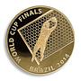 Brazil FIFA World Cup 2014, Gold Plated Coin, 1 oz, Soccer, Football Finals