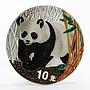 China 10 yuan Panda Series colorized silver coin 2002