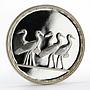 Egypt 5 pounds Five birds proof silver coin 1994