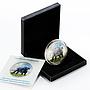 Congo 240 francs Big Five Africa Buffalo colored silver coin 2008