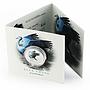 South Africa 10 rand Blue Crane Grus Paradisea bird silver coin 2017