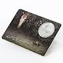 Ghana 5 cedis The Hedgehog and The Horse in the Fog colored silver coin 2014