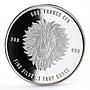 Chad 5000 francs Wildlife Mandala Lion proof silver coin 2018