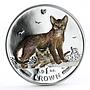 Isle of Man 1 crown Abyssinian Cats Home Pets colored proof silver coin 2010