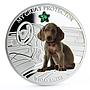 Fiji 2 dollars My Great Protector Weimraner Dog colored silver coin 2013