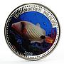 Palau 1 dollar Marine Life Protection Orange Triggerfish colored CuNi coin 2009