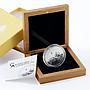 Cook Islands 5 dollars Holidays White Russian Christmas colored silver coin 2013