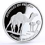 Saharawi 1000 pesetas Dromedary Camel proof silver coin 2002