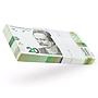 Ukraine 20 hryvnias 100 Notes UNC Banknotes Currency Bundle Brick 2021