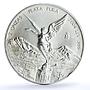 Mexico 2 onzas Libertad Angel of Independence silver coin 2004