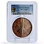 United States 1 dollar Silver Eagle Walking Liberty MS66 PCGS silver coin 1990