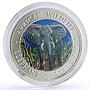 Somalia 1000 shillings African Wildlife Elephant Fauna colored silver coin 2004