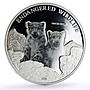 Mongolia 500 togrog Conservation Wildlife Leopards Fauna proof silver coin 2008