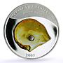 Palau 5 dollars Marine Life Pearl Oyster Pinctada Maxima Shell silver coin 2007