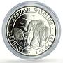 Somalia 100 shillings African Wildlife Elephant Fauna proof silver coin 2010