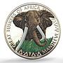 Cameroon 1000 francs African Great Tuskers Elephant Pattern silver coin No Date