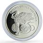 Ireland 1 pound United Nations UN Dove Birds History proof silver coin 1995