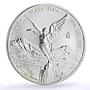 Mexico 1 onza Libertad Angel of Independence KM-613 Bullion silver coin 1996