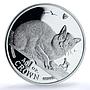 Isle of Man 1 crown Burmese KM-621a Cat Crowns proof silver coin 1996